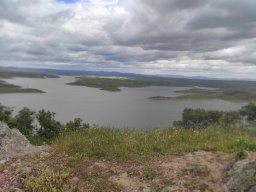 Flora del Cerro Masatrigo